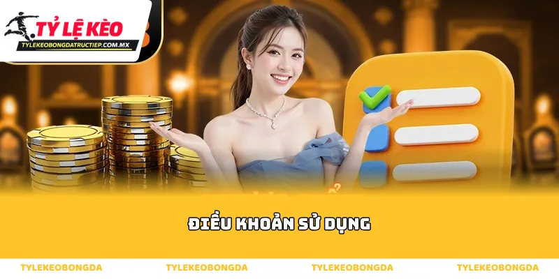 Tổng quan về điều khoản sử dụng và những giá trị cốt lõi