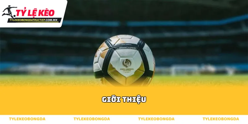 Giới thiệu ưu thế vượt trội về tốc độ truy cập