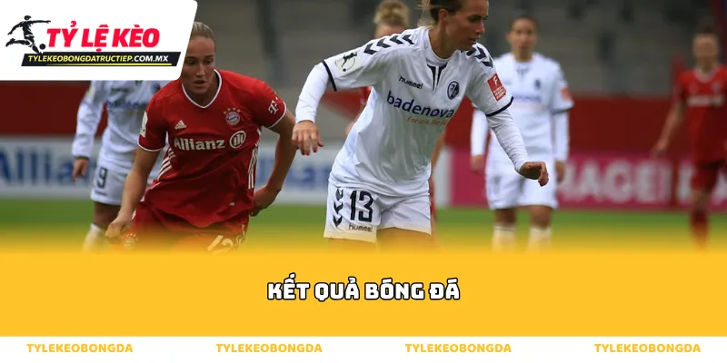 Tổng quan về hệ thống theo dõi kết quả bóng đá trực tuyến