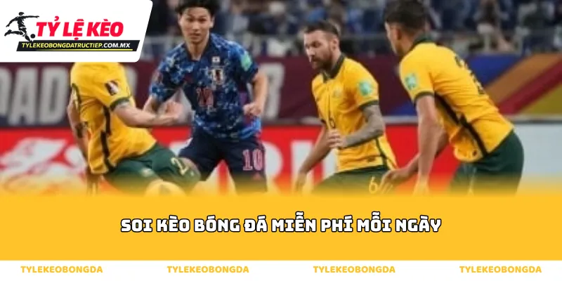 Tổng quan về soi kèo bóng đá miễn phí mỗi ngày