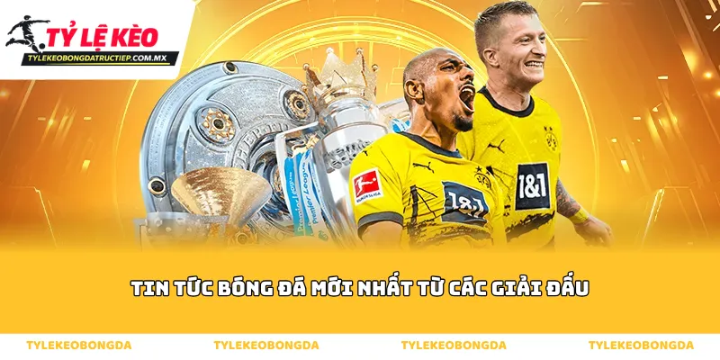 Tin tức bóng đá mới nhất từ các giải đấu